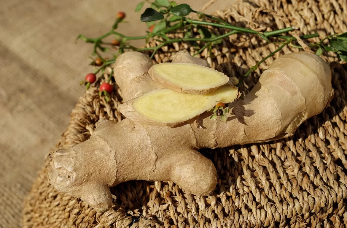 Benefit of Ginger: There Are Several That You Should Know About